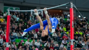 grand prix della ginnastica 0410 sfe07702 copia simone ferraro ph